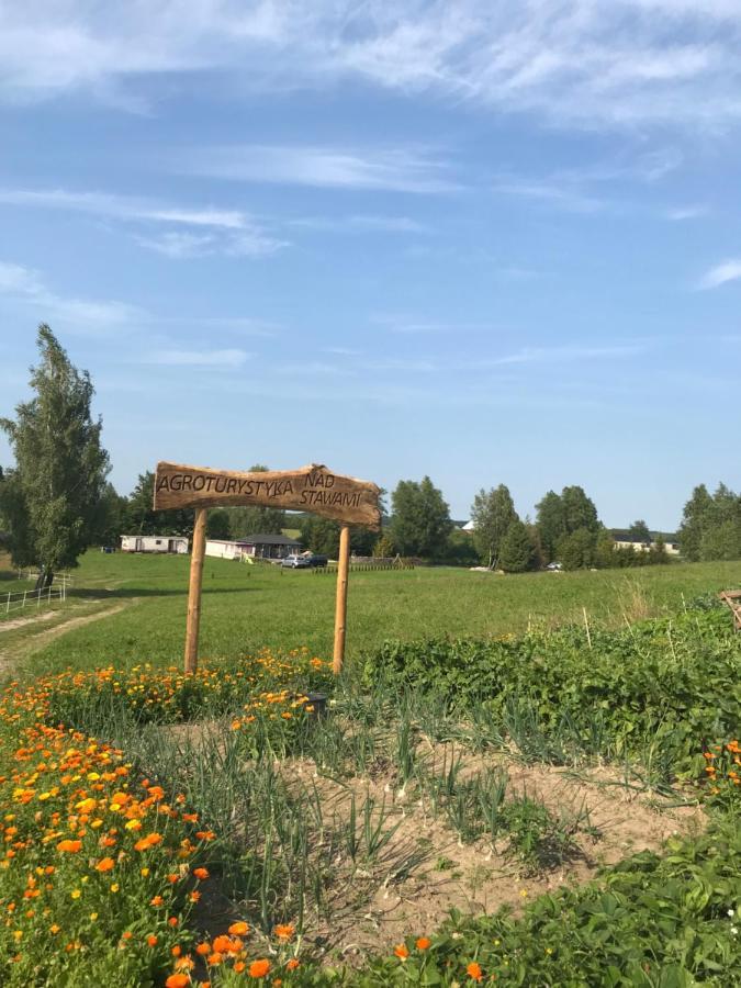 Agroturystyka Nad Stawami Szemud Exterior photo